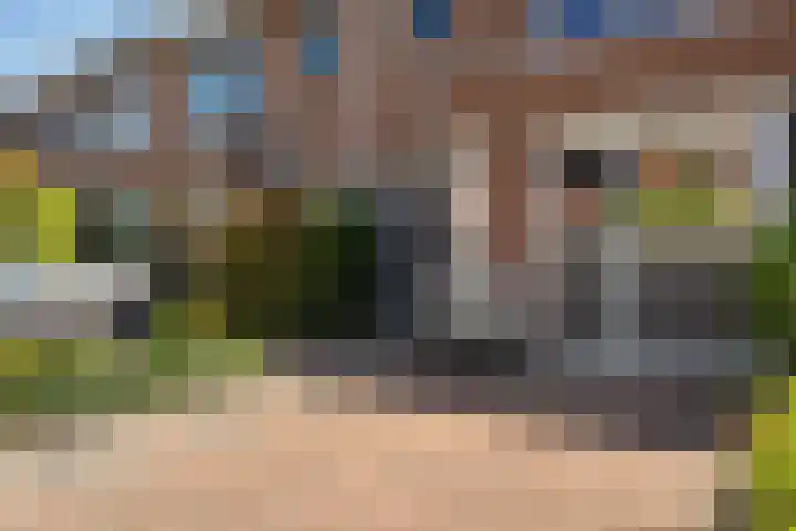 Van der Does de Willeboisstraat 14 Wateringen thumbnail 40
