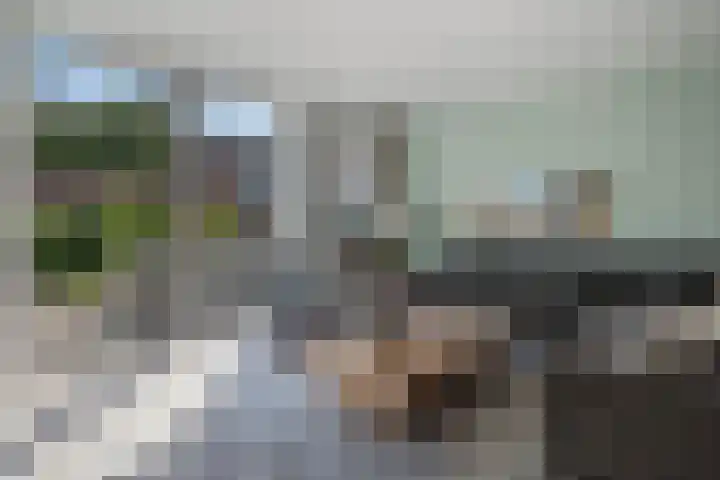 Van der Does de Willeboisstraat 14 Wateringen thumbnail 6