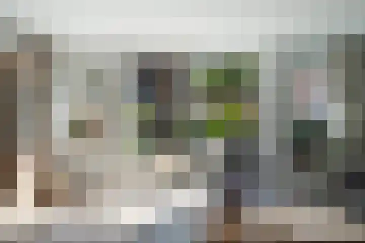 Van der Does de Willeboisstraat 14 Wateringen thumbnail 9
