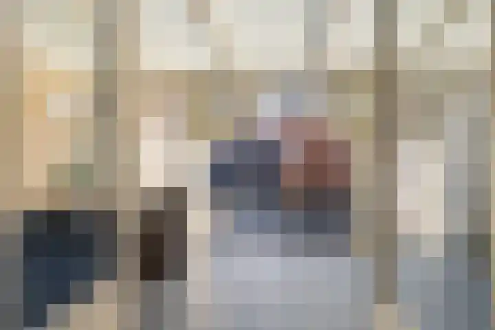 Van der Does de Willeboisstraat 18 Wateringen thumbnail 11