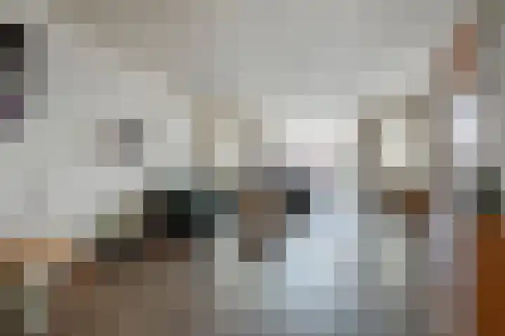 Van der Does de Willeboisstraat 18 Wateringen thumbnail 8