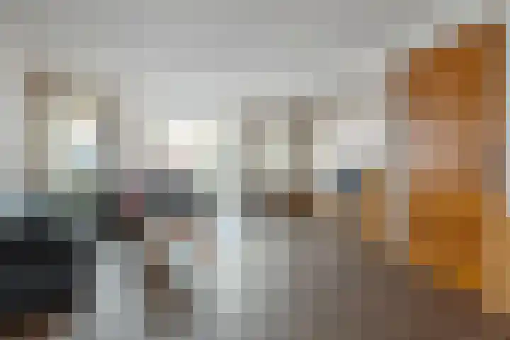 Van der Does de Willeboisstraat 18 Wateringen thumbnail 9