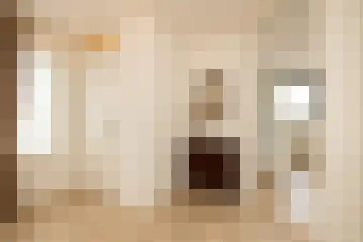Van der Does de Willeboisstraat 25 Wateringen thumbnail 36