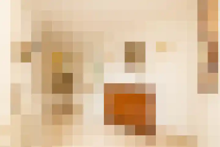 Van der Does de Willeboisstraat 25 Wateringen thumbnail 6