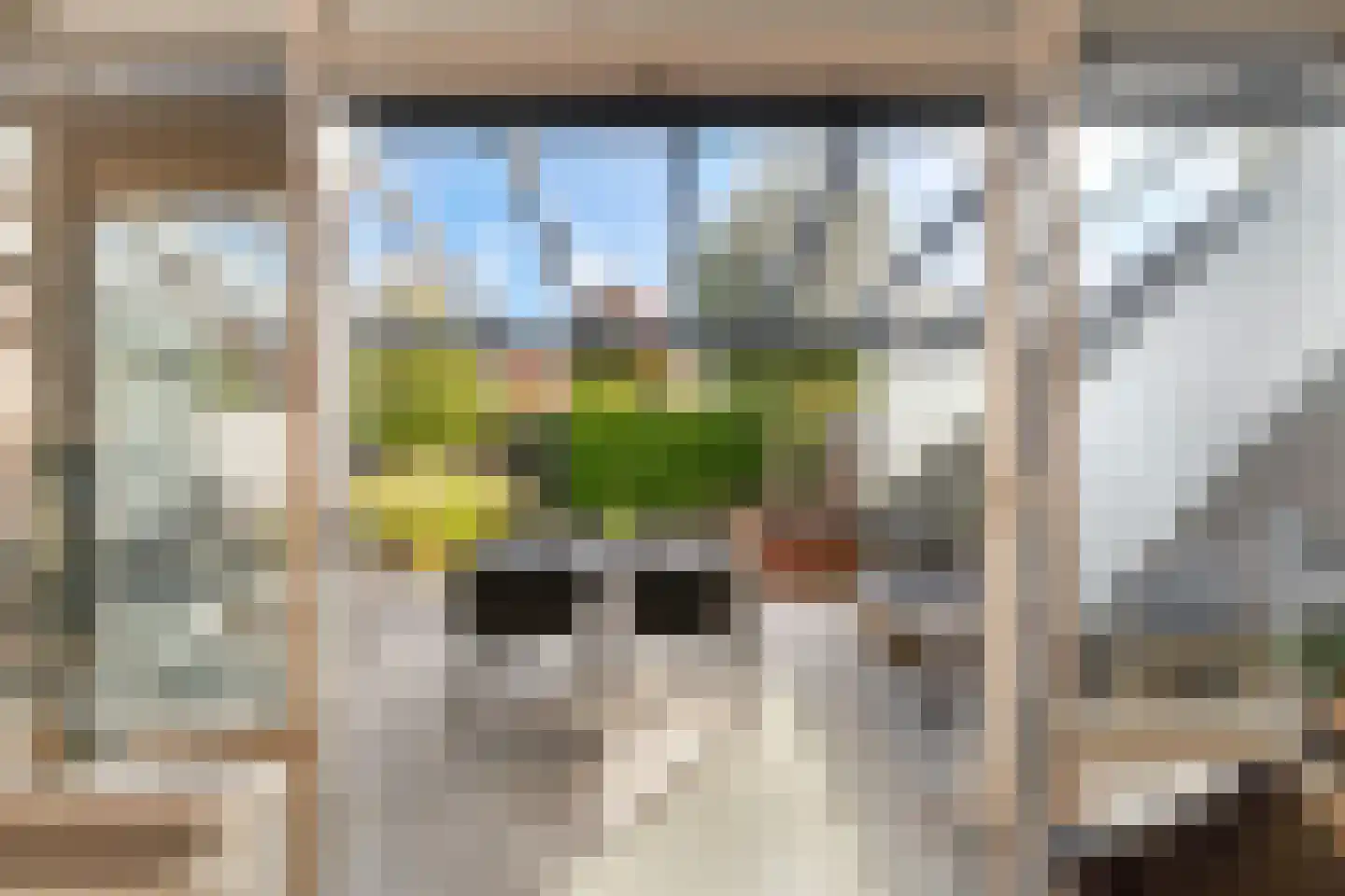 Van der Does de Willeboisstraat 27 Wateringen thumbnail 15