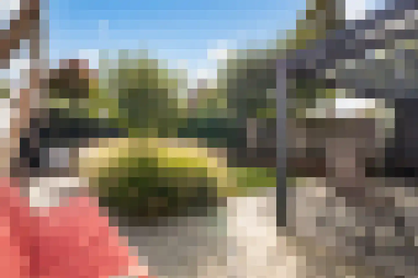 Van der Does de Willeboisstraat 27 Wateringen thumbnail 18