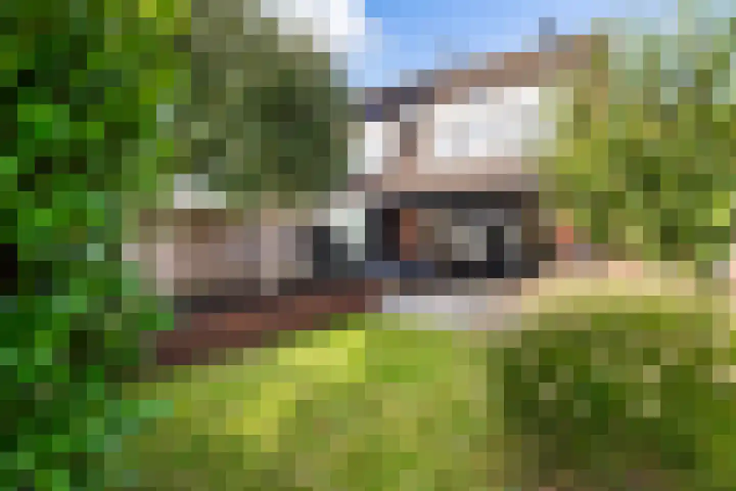 Van der Does de Willeboisstraat 27 Wateringen thumbnail 19