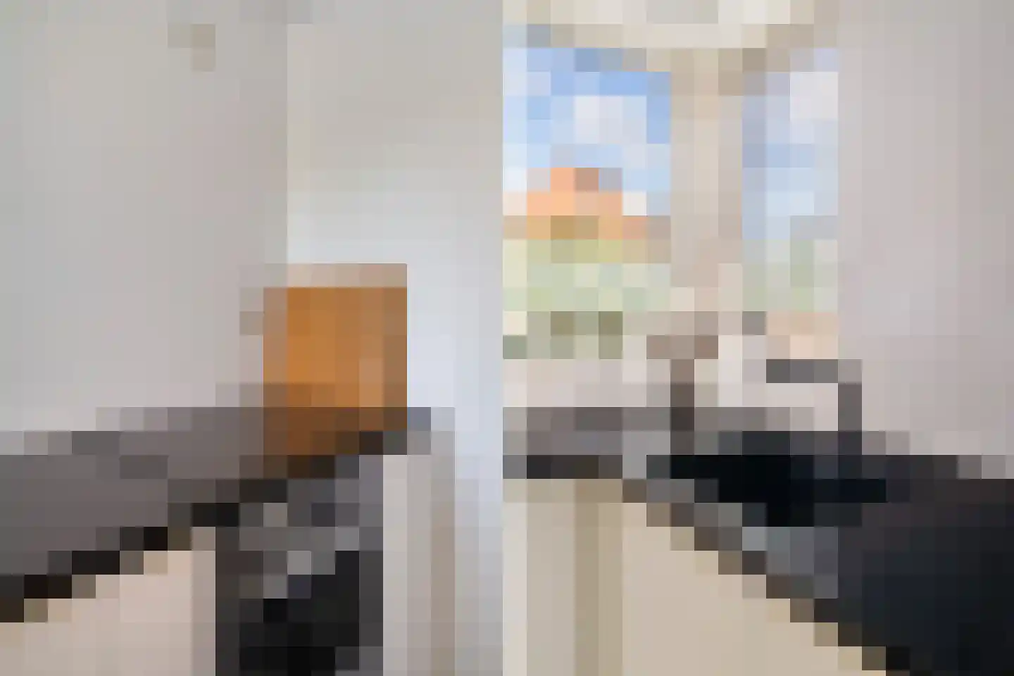 Van der Does de Willeboisstraat 27 Wateringen thumbnail 24