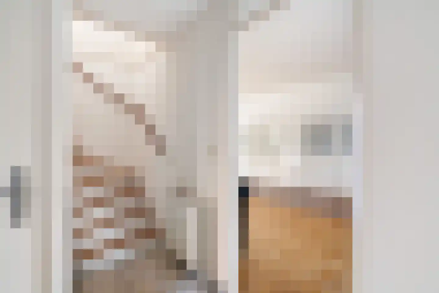 Van der Does de Willeboisstraat 27 Wateringen thumbnail 29