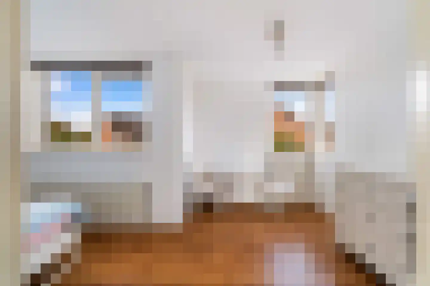 Van der Does de Willeboisstraat 27 Wateringen thumbnail 30