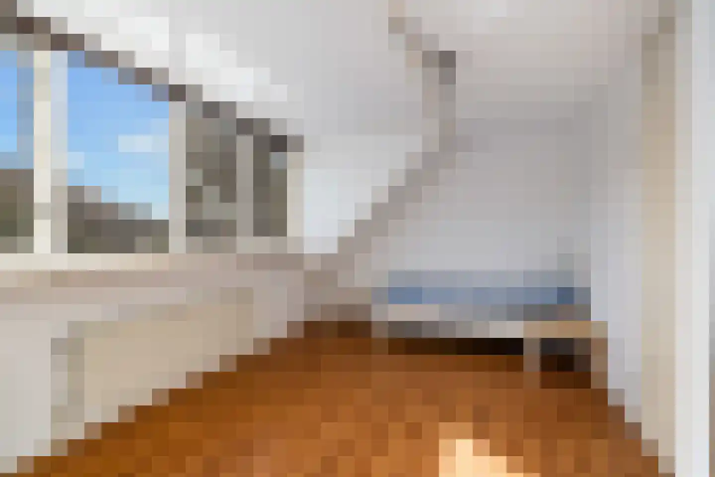 Van der Does de Willeboisstraat 27 Wateringen thumbnail 35