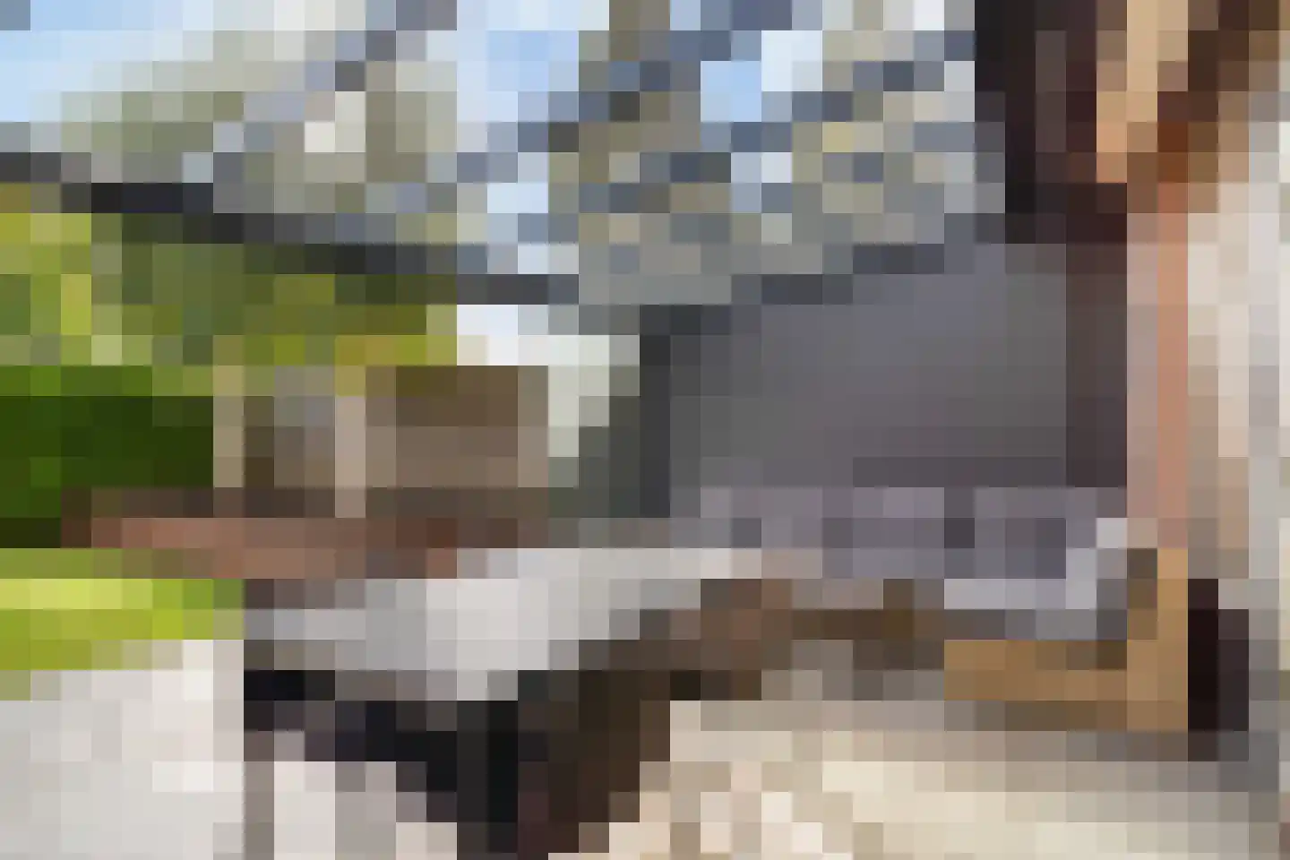 Van der Does de Willeboisstraat 27 Wateringen thumbnail 5