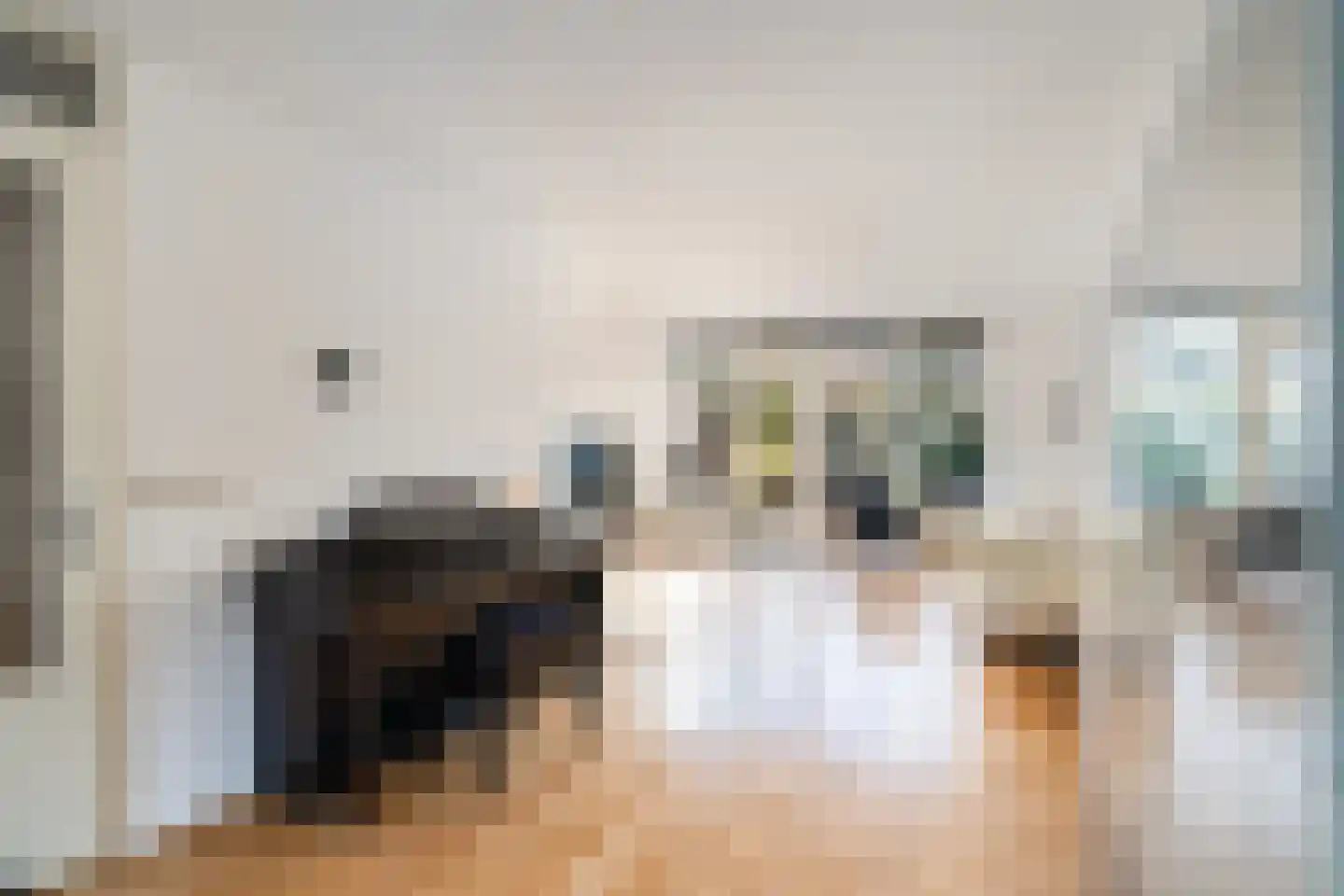Van der Does de Willeboisstraat 27 Wateringen thumbnail 7