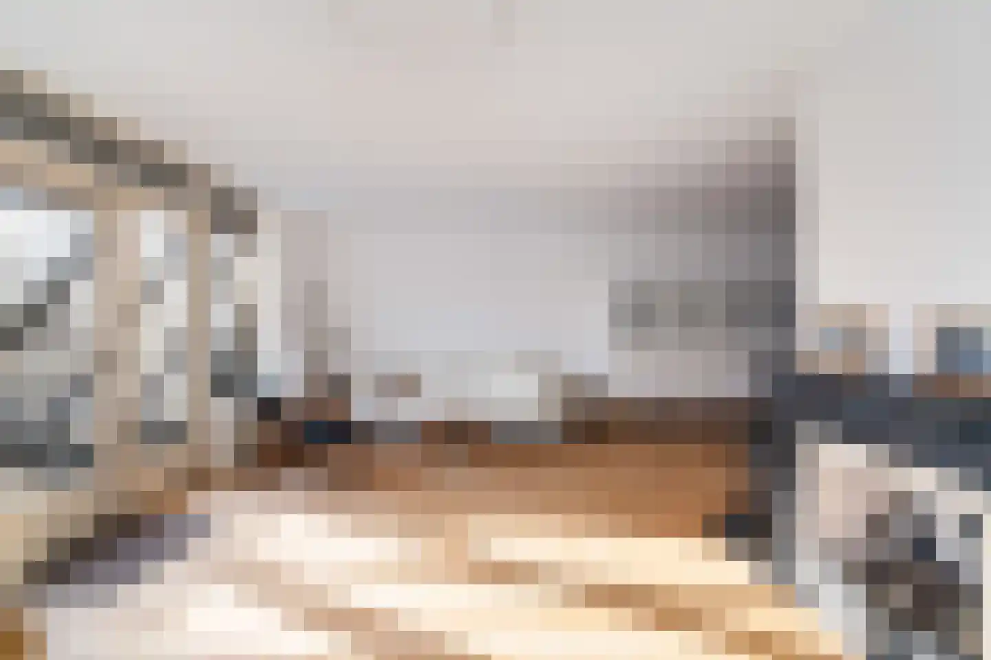 Van der Does de Willeboisstraat 27 Wateringen thumbnail 8
