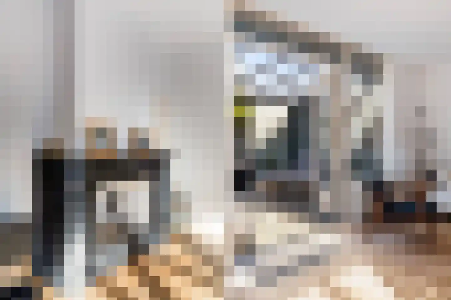 Van der Does de Willeboisstraat 27 Wateringen thumbnail 9