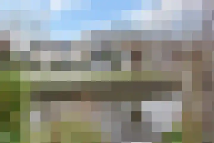 Van der Does de Willeboisstraat 9 Wateringen thumbnail 13