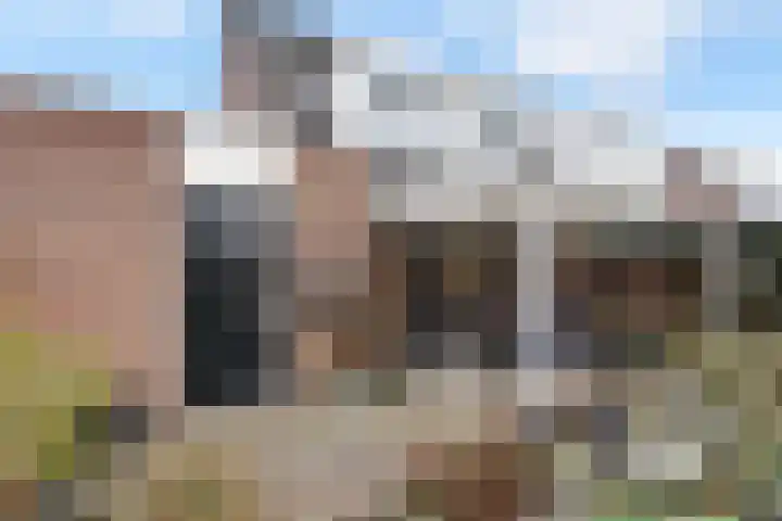 Van der Does de Willeboisstraat 9 Wateringen thumbnail 14