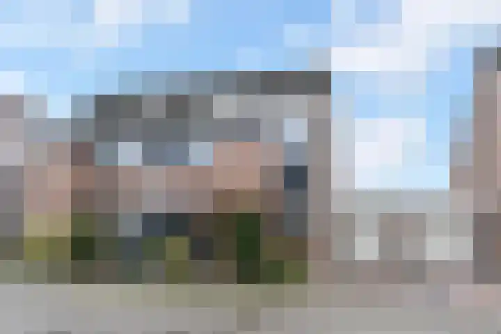 Van der Does de Willeboisstraat 9 Wateringen thumbnail 34