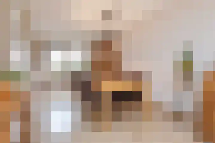 Van der Does de Willeboisstraat 9 Wateringen thumbnail 5