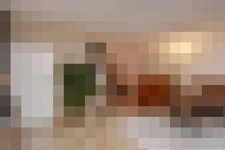 Van der Does de Willeboisstraat 9 Wateringen thumbnail 7