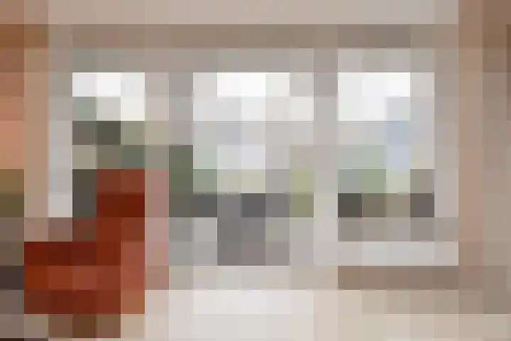 Van der Does de Willeboisstraat 9 Wateringen thumbnail 9