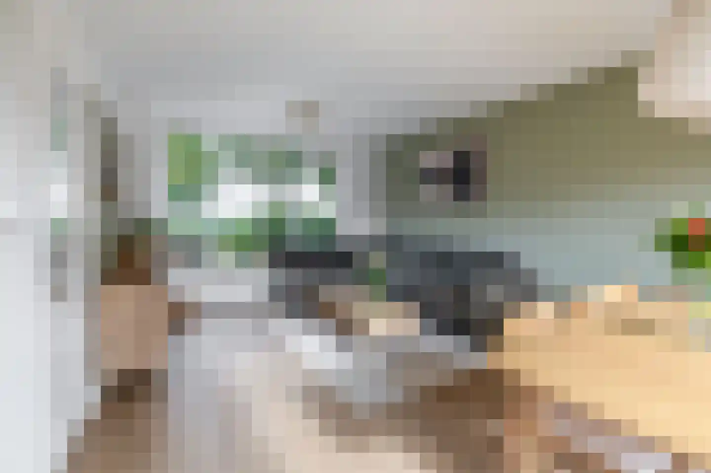van der Doeslaan 17 Maasdam thumbnail 11