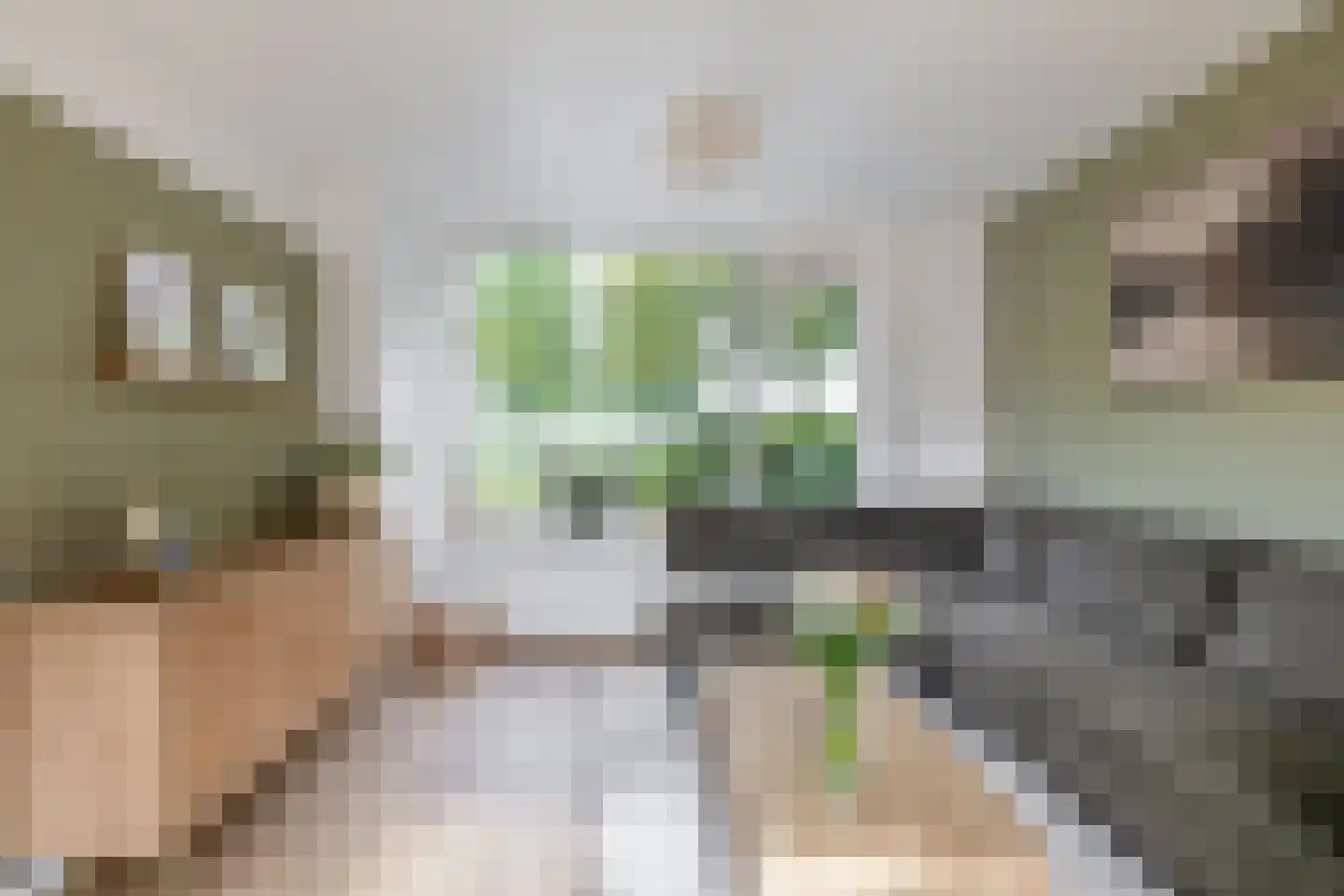 van der Doeslaan 17 Maasdam thumbnail 13