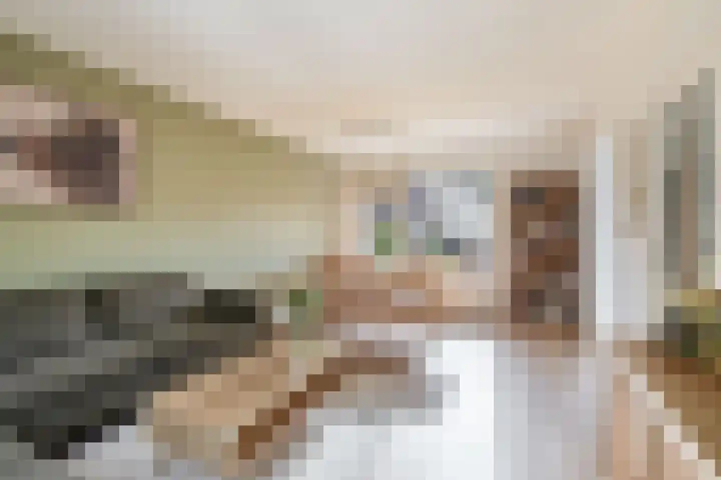 van der Doeslaan 17 Maasdam thumbnail 15