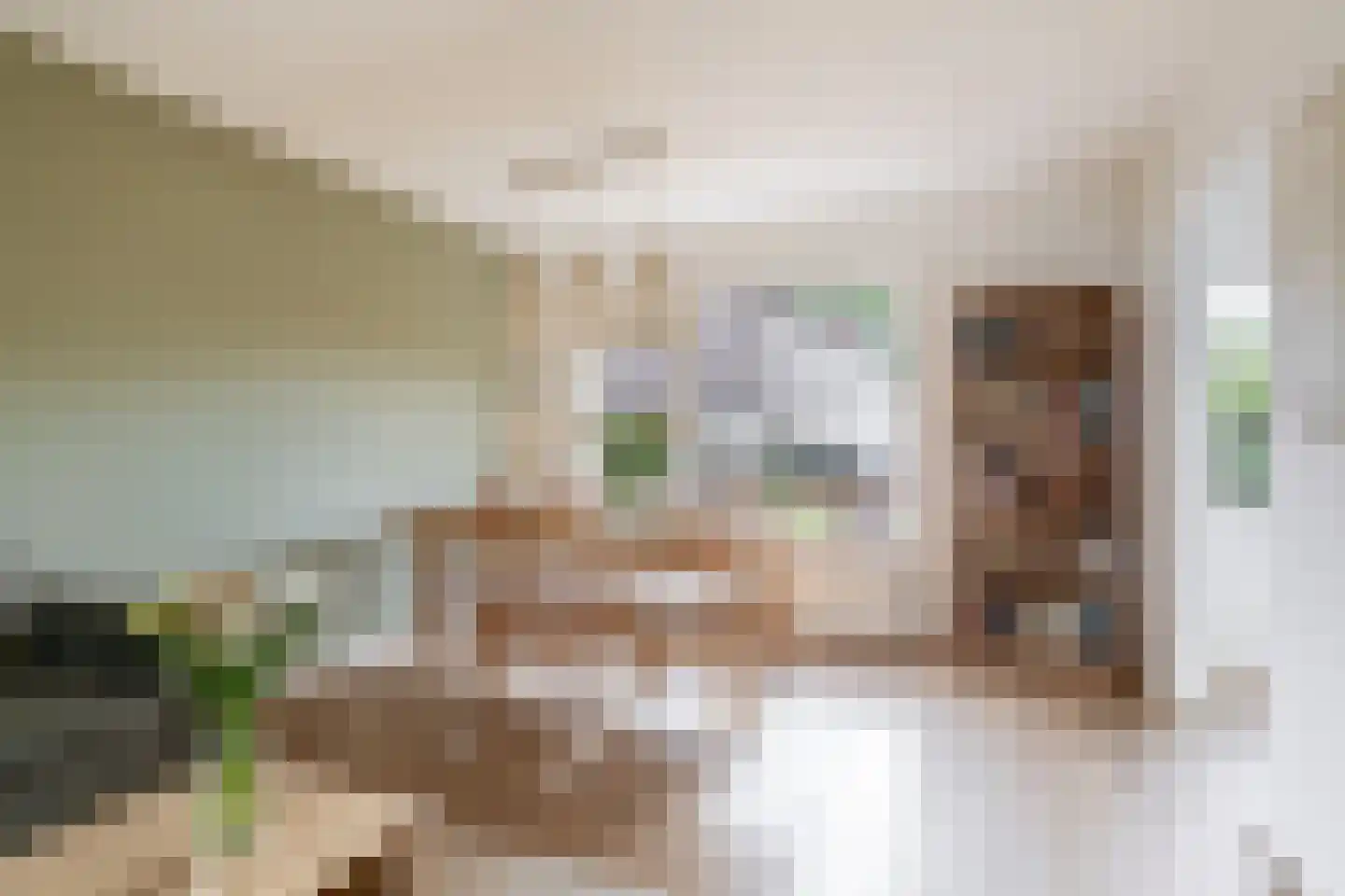 van der Doeslaan 17 Maasdam thumbnail 16