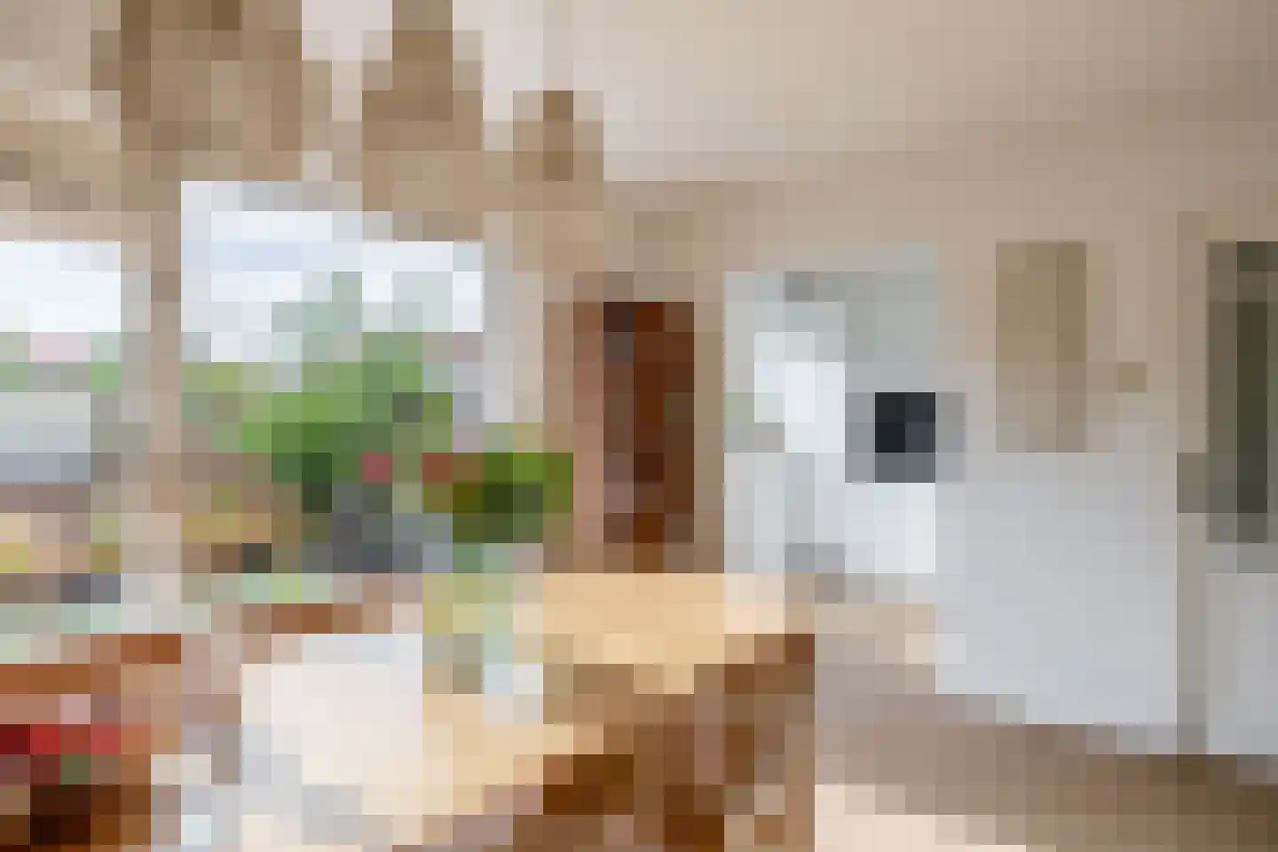 van der Doeslaan 17 Maasdam thumbnail 17