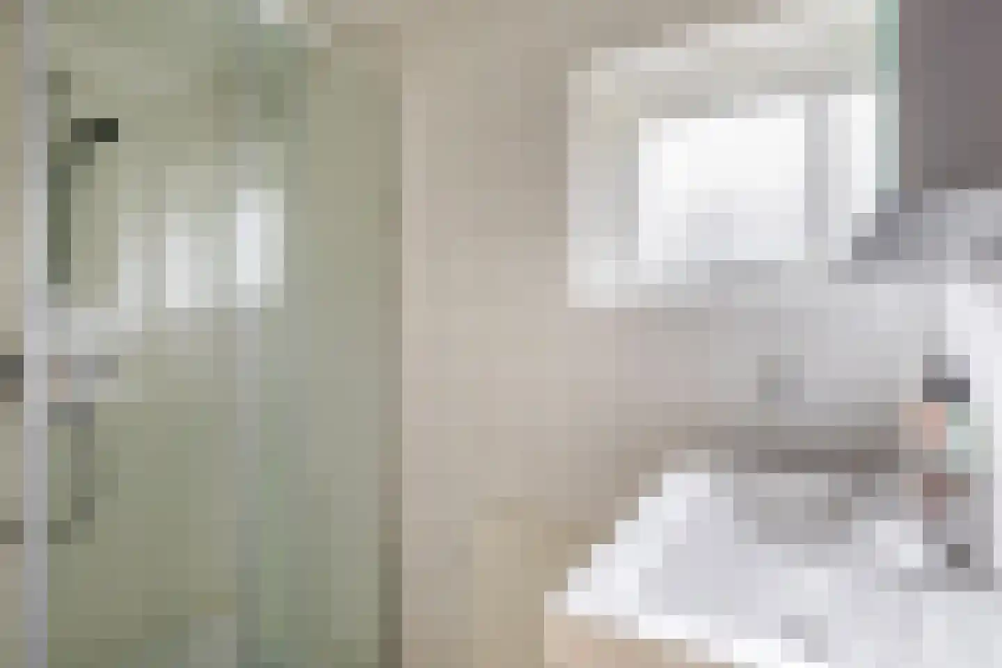 van der Doeslaan 17 Maasdam thumbnail 29