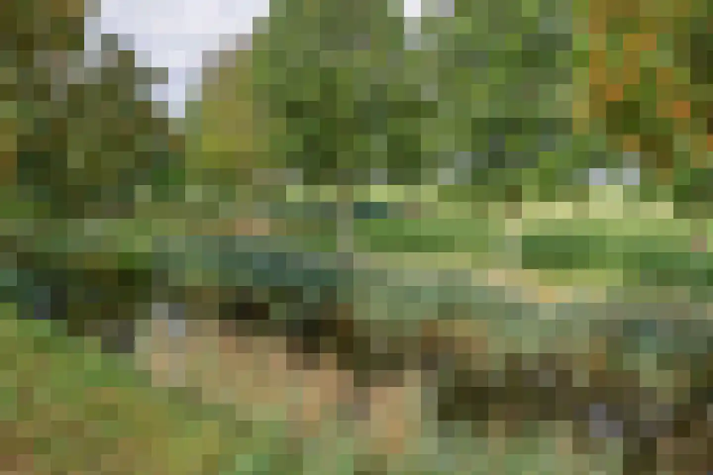 van der Doeslaan 17 Maasdam thumbnail 37