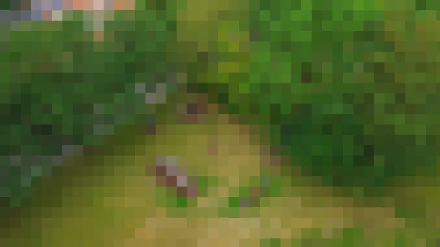 van der Doeslaan 17 Maasdam thumbnail 41
