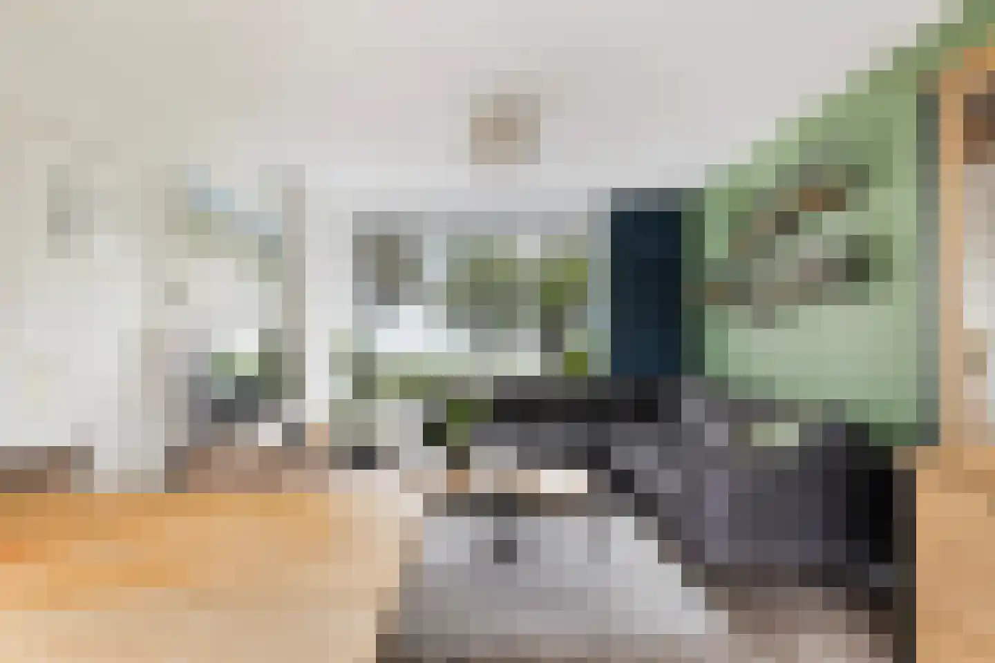 van der Doeslaan 19 Maasdam thumbnail 11