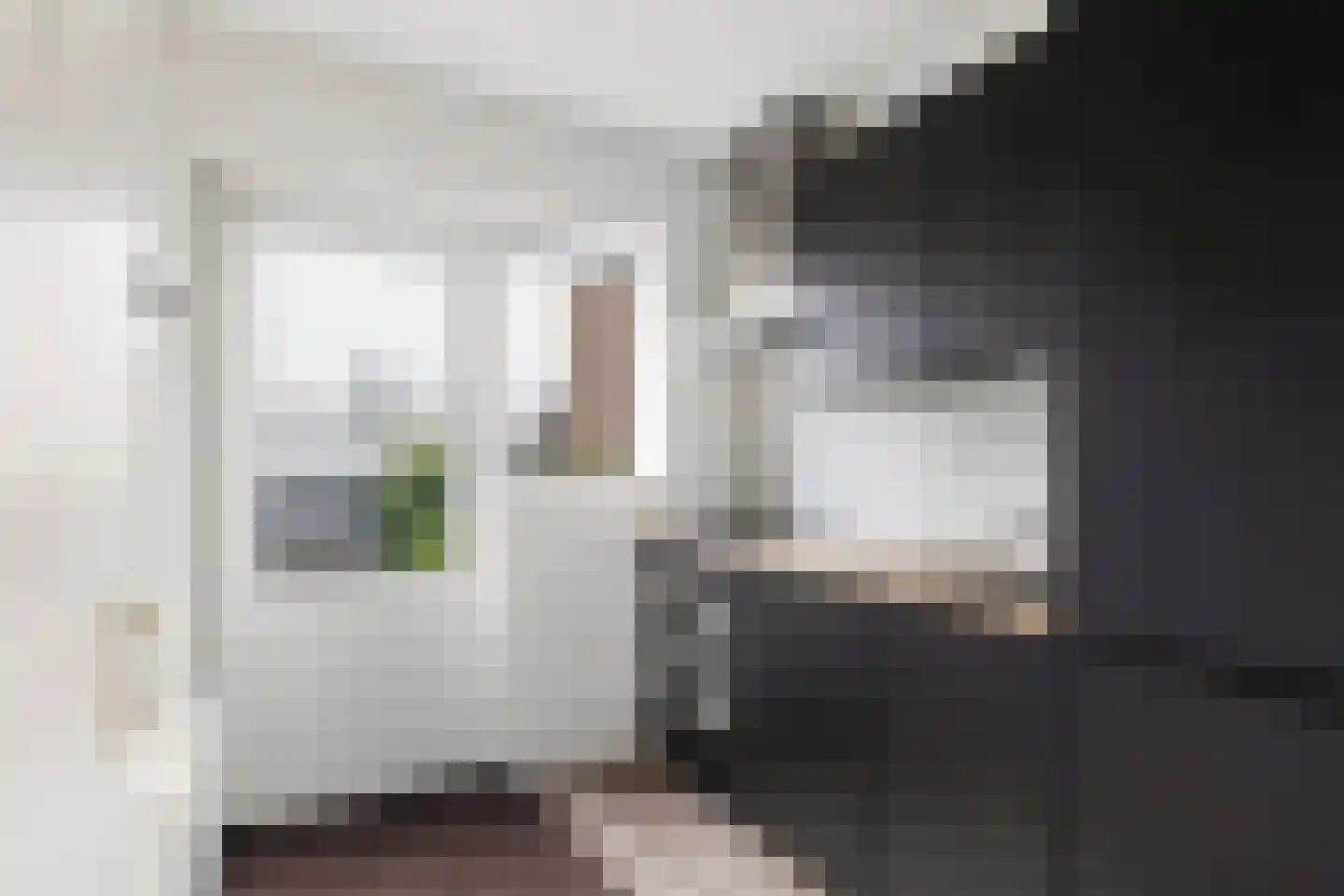 van der Doeslaan 19 Maasdam thumbnail 17