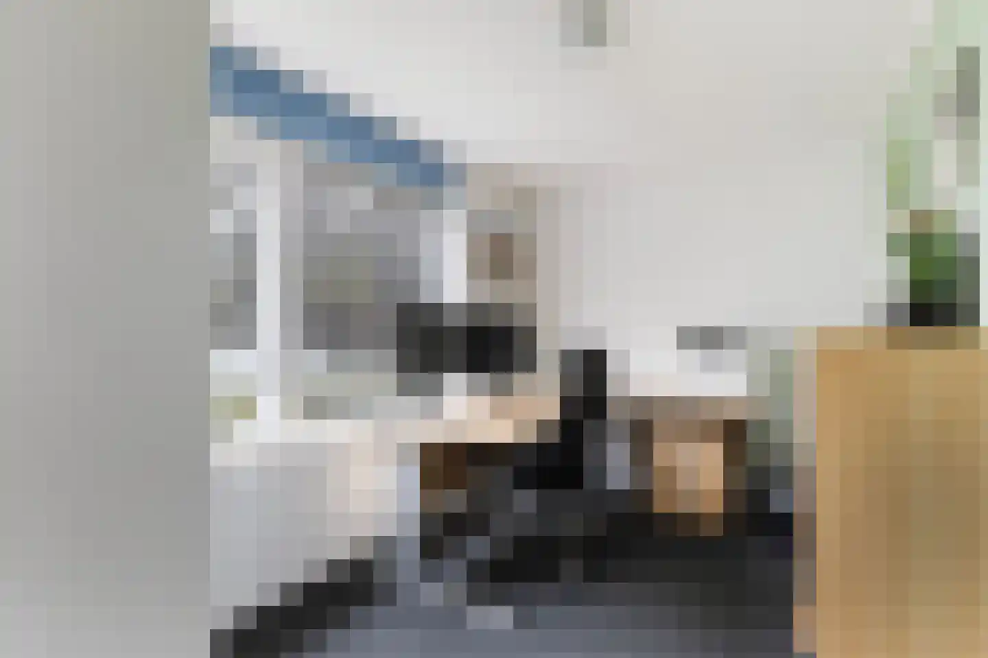 van der Doeslaan 19 Maasdam thumbnail 23