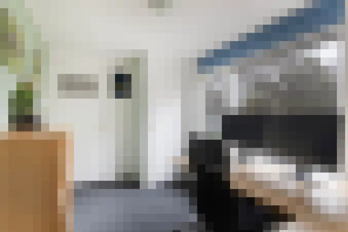 van der Doeslaan 19 Maasdam thumbnail 24