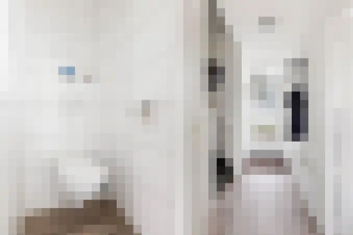 van der Doeslaan 19 Maasdam thumbnail 8
