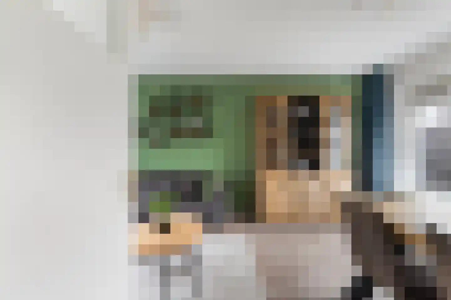 van der Doeslaan 19 Maasdam thumbnail 9