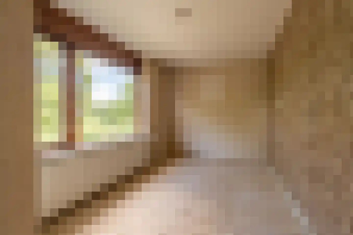 van der Doeslaan 23 Maasdam thumbnail 14