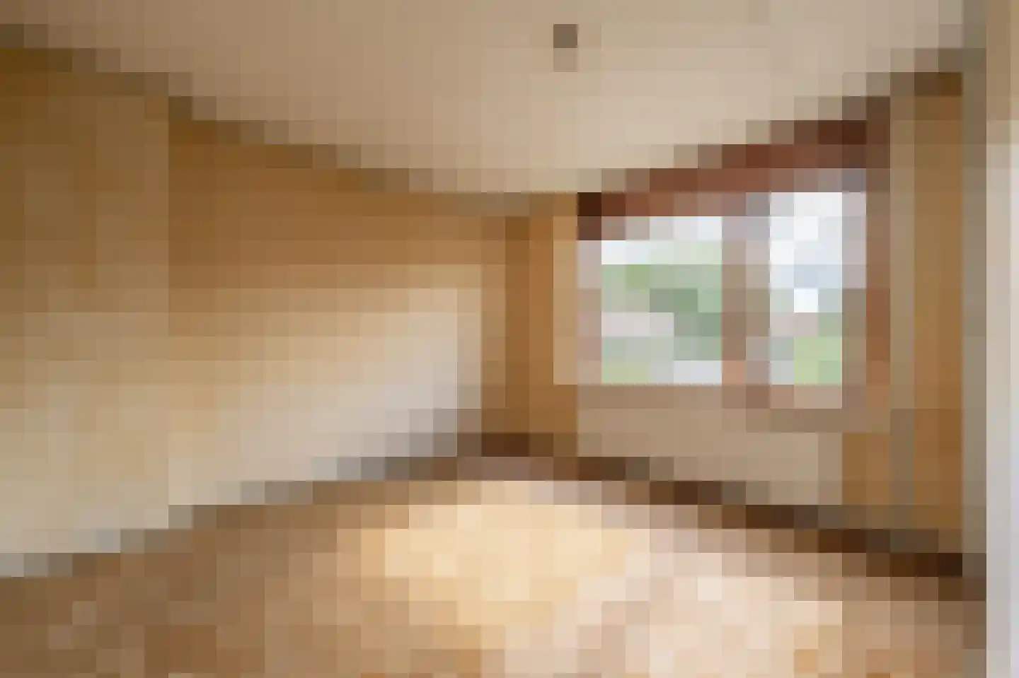 van der Doeslaan 23 Maasdam thumbnail 17