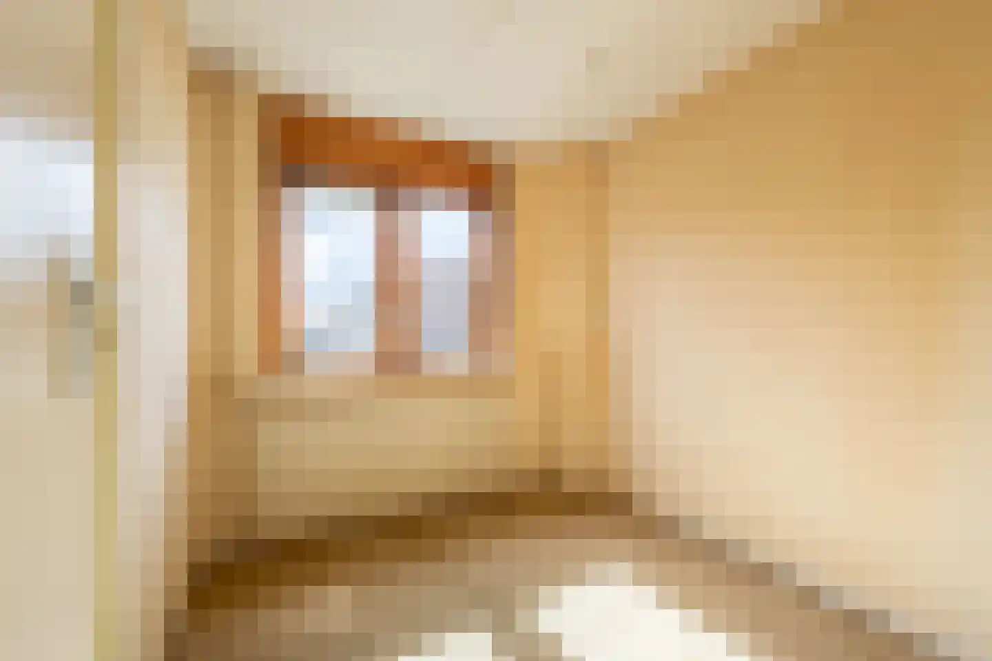 van der Doeslaan 23 Maasdam thumbnail 20