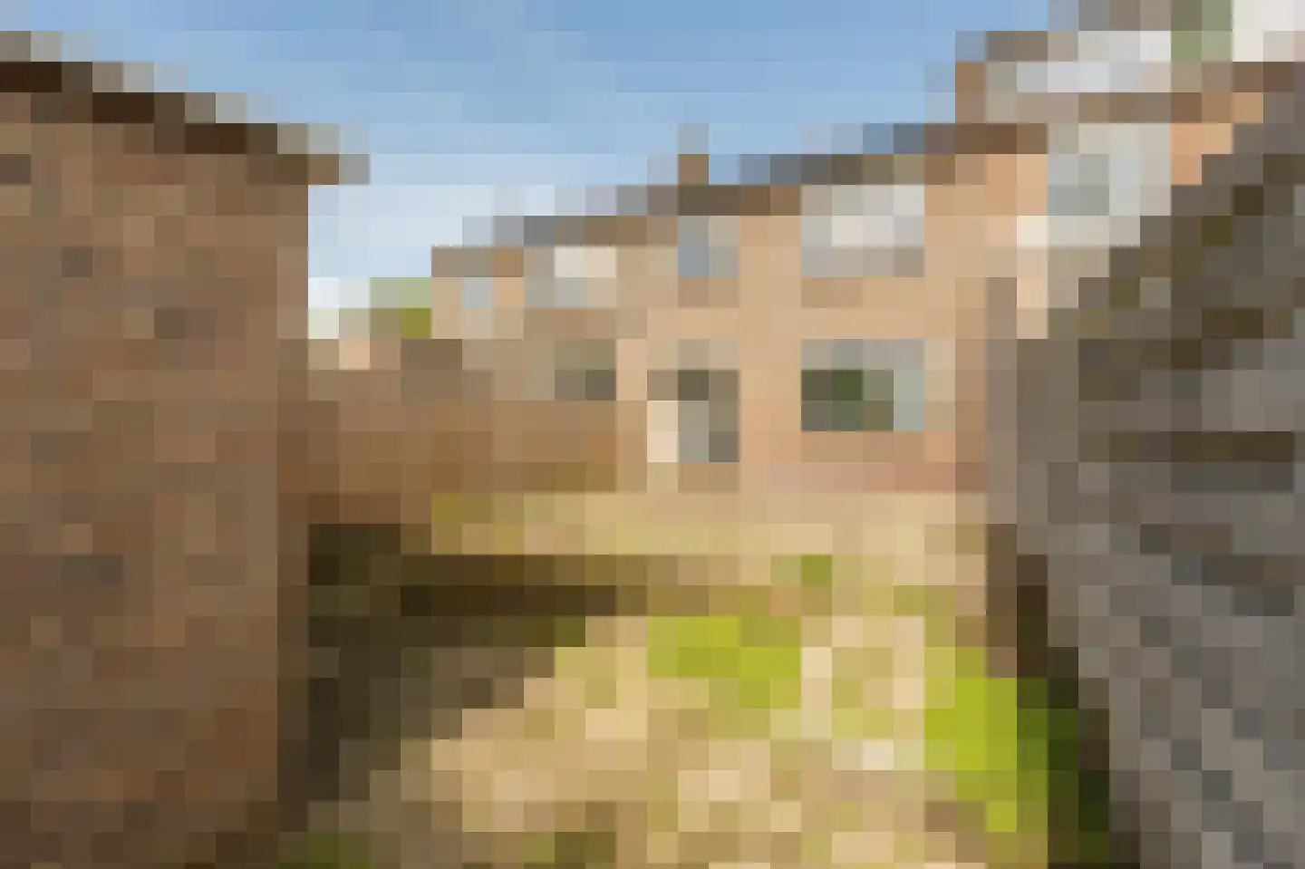 van der Doeslaan 23 Maasdam thumbnail 23