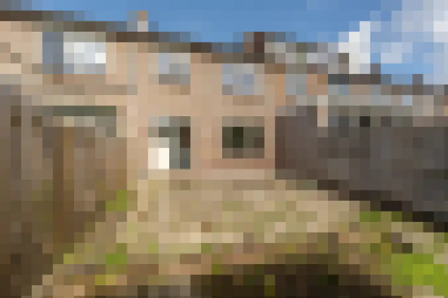 van der Doeslaan 23 Maasdam thumbnail 24