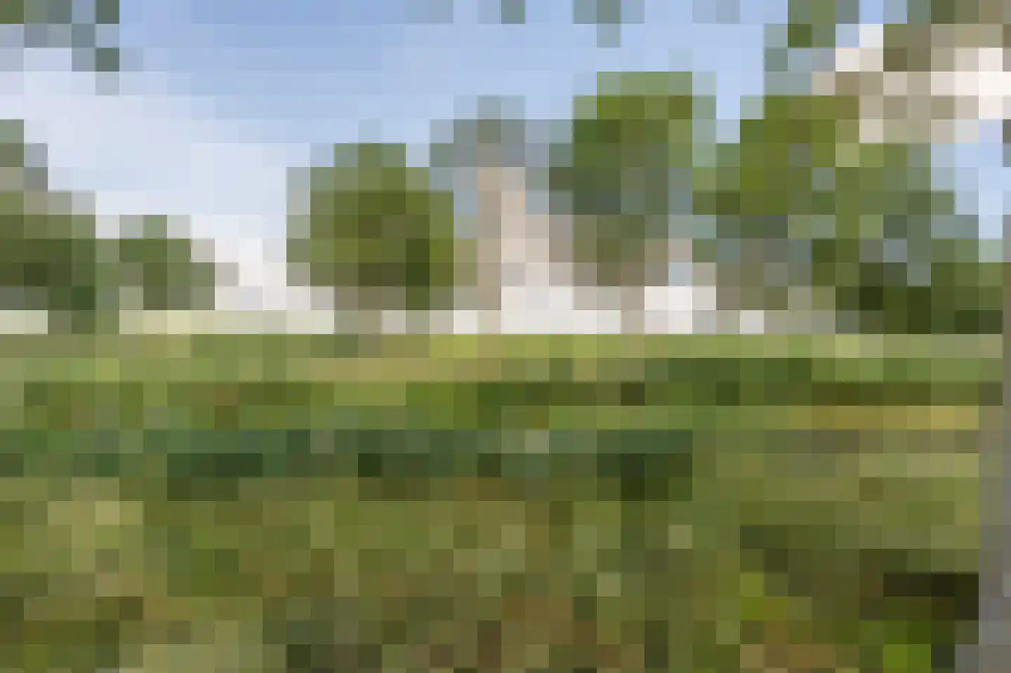 van der Doeslaan 23 Maasdam thumbnail 26