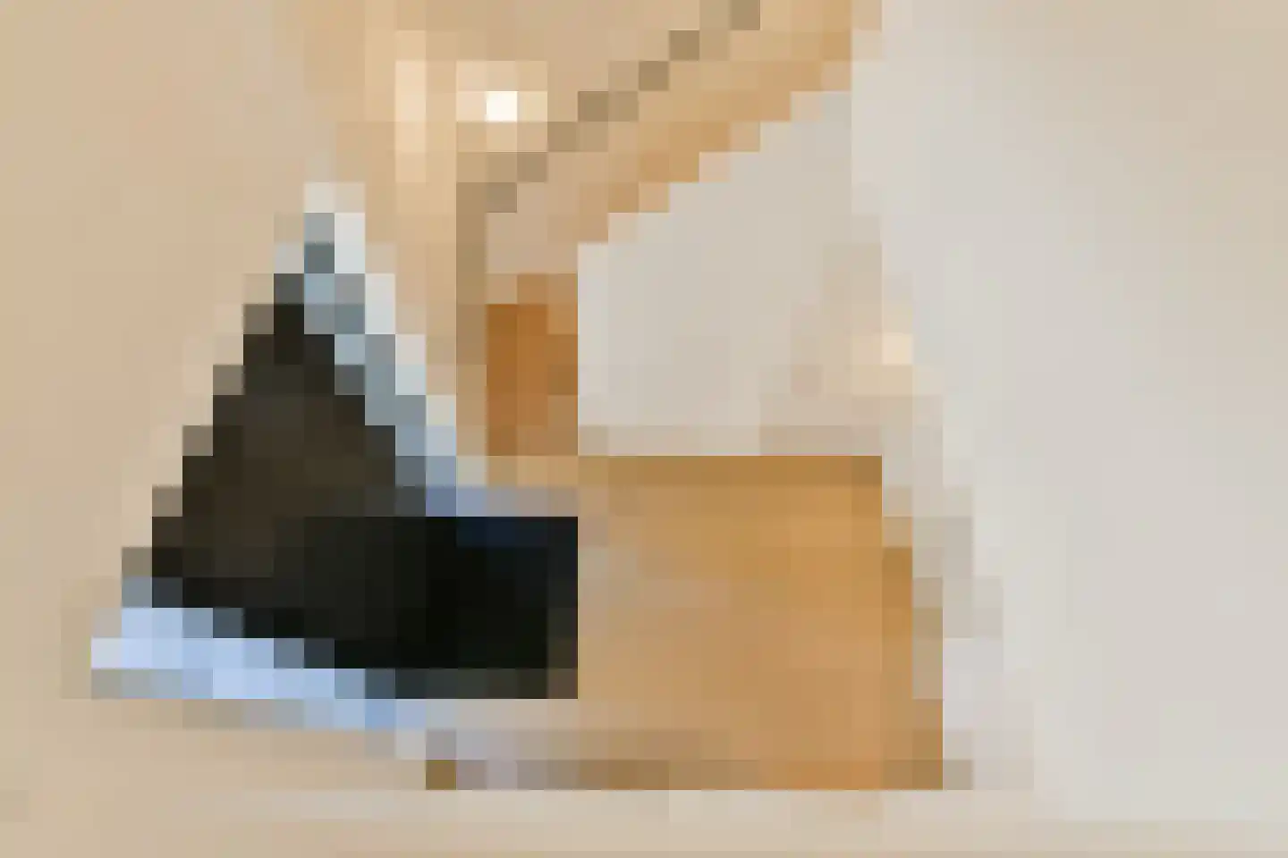 Van der Doeslaan 6 Wassenaar thumbnail 8