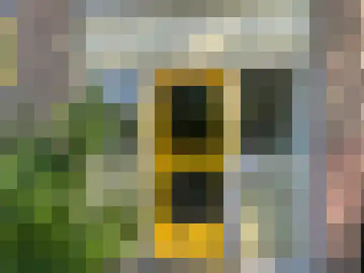 Van der Doesstraat 19 Alphen aan den Rijn thumbnail 17