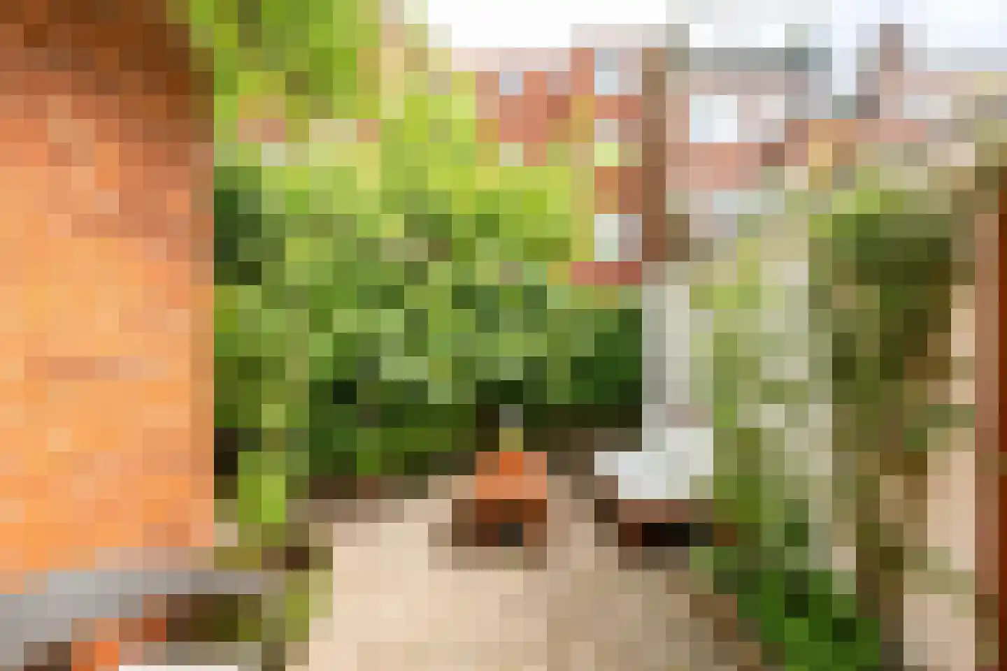 Van der Doesstraat 6 Groningen thumbnail 24