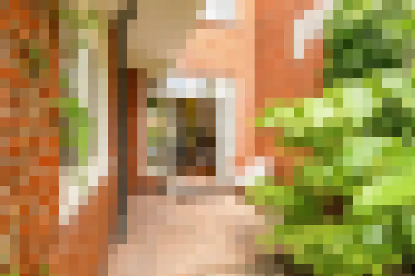 Van der Doesstraat 6 Groningen thumbnail 28