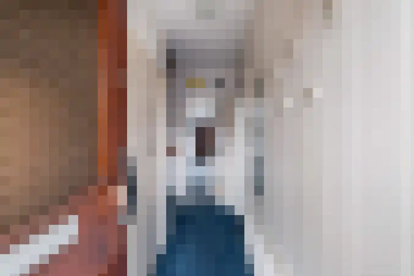 Van der Doortogestraat 16 Naaldwijk thumbnail 17